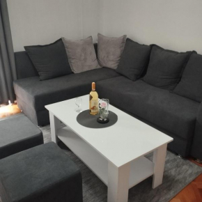 Apartman Jelena 1